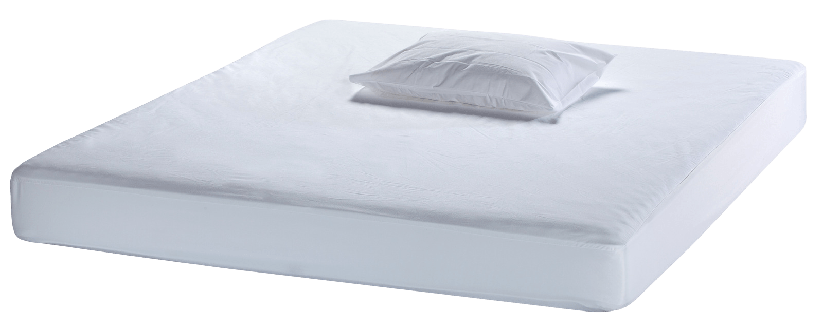 DAGGKÅPA PATALYNĖ ANTČIUŽINIAMS